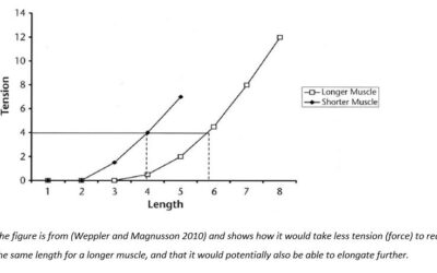 The mechanisms behind increasing flexibility